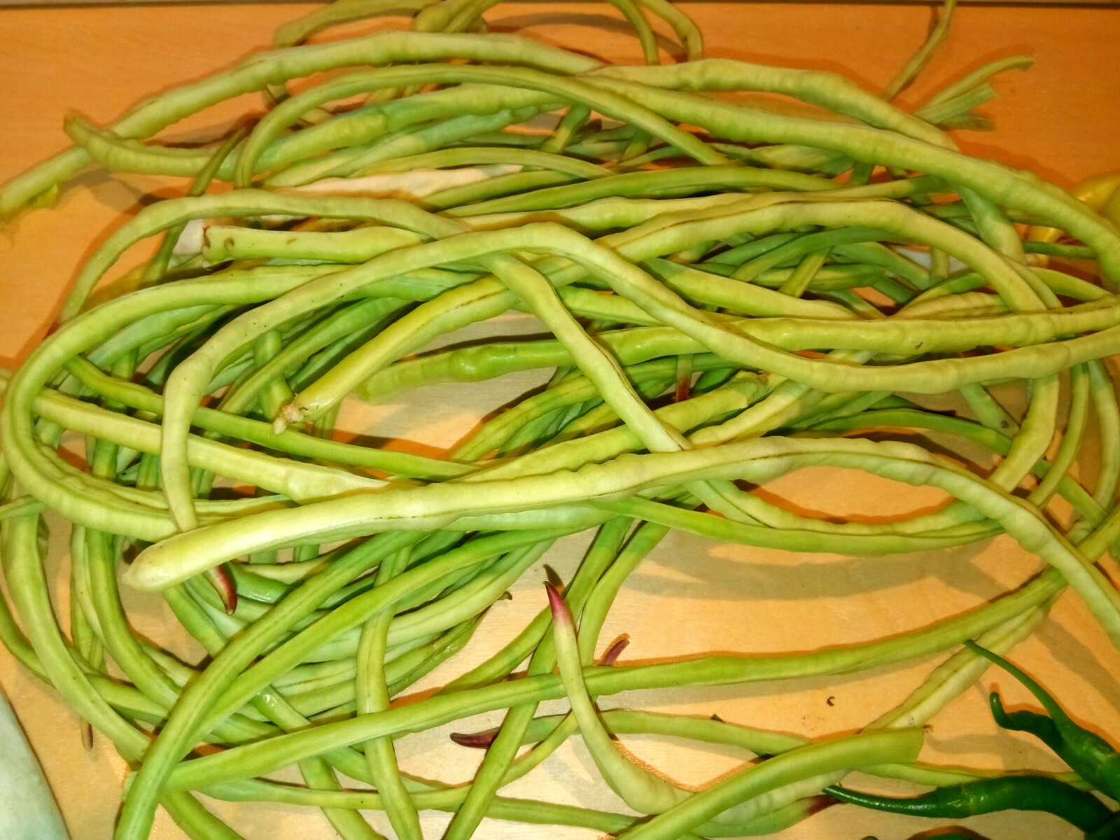 15 Organic Asian Long Bean Seeds (Early,Pale green,Skinny,Very long Variety)