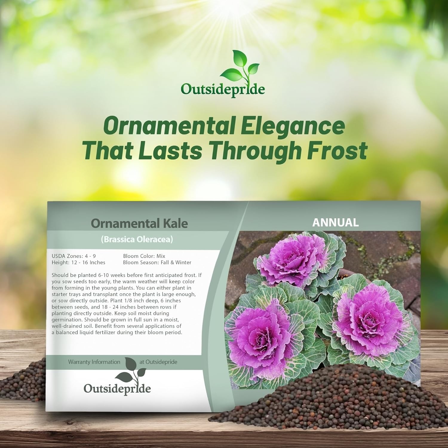 2000 Seeds Ornamental Kale Seeds – Brassica Kale Flower Seed