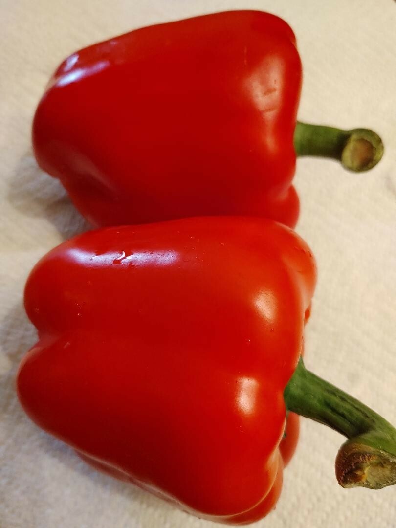 20+ Giant Red Sweet Bell Pepper Seeds, Best Price on Ebay, Next Day Shipping!