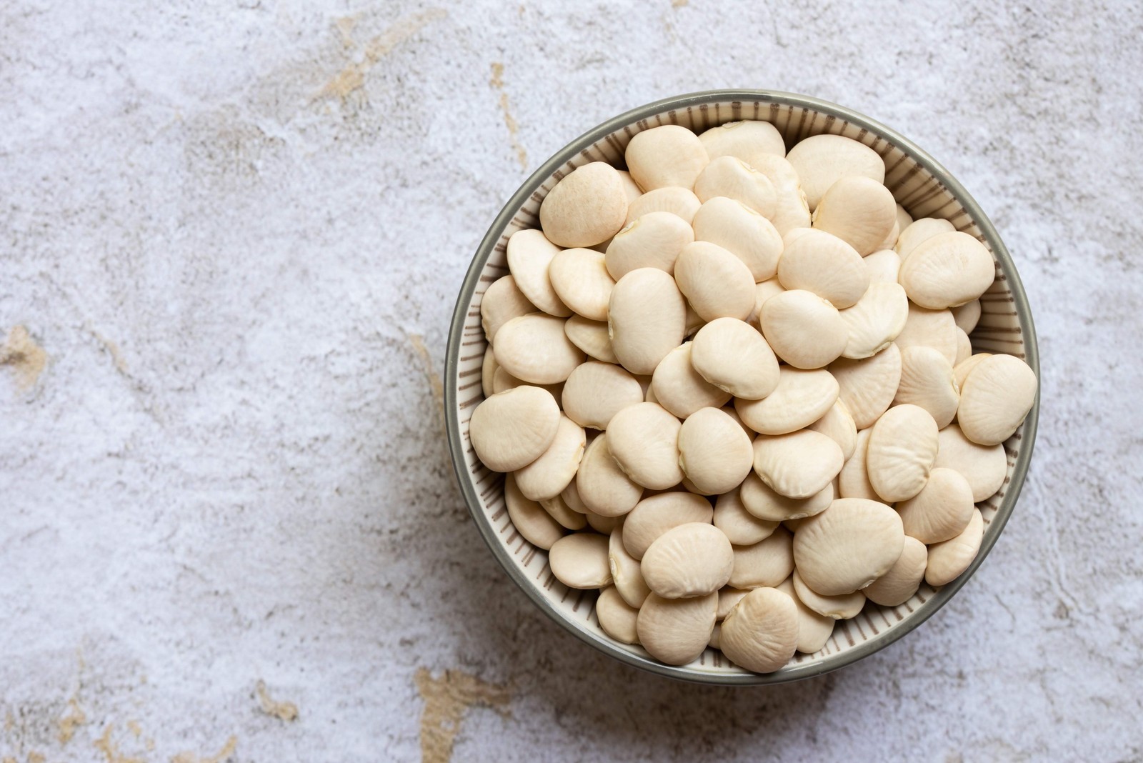 20 FORDHOOK LIMA BEAN Phaseolus Lunatus Bush Bean Vegetable Seeds