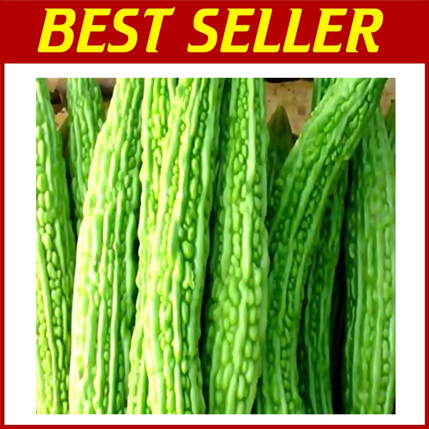 Mara Long Variety Bitter Melon – 100 Non-GMO Seeds