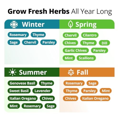 Herb Seeds for Planting Massive Seed Count 4,300+ 15-Pack Herb Seed Vault