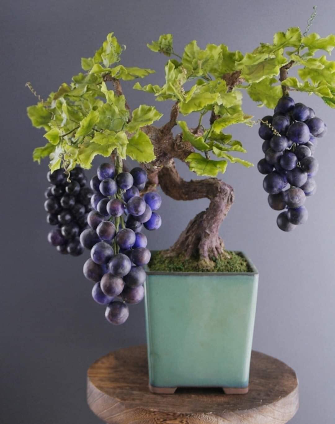 Grape Bonsai Tree Seeds for Planting – 50+ Seeds
