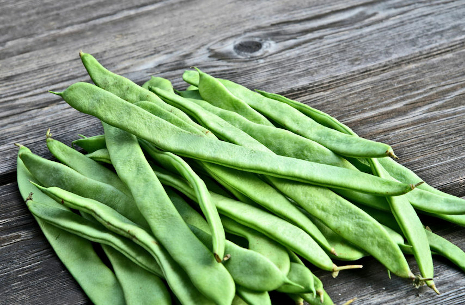 Christmas Pole Lima Bean Seeds! Giant Butter Bean Excellent Flavor Heirloom