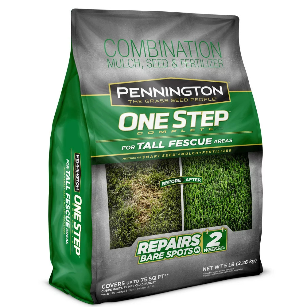 GRASS SEED PATCH REPAIR Tall Fescue for Sun to Partial Shade