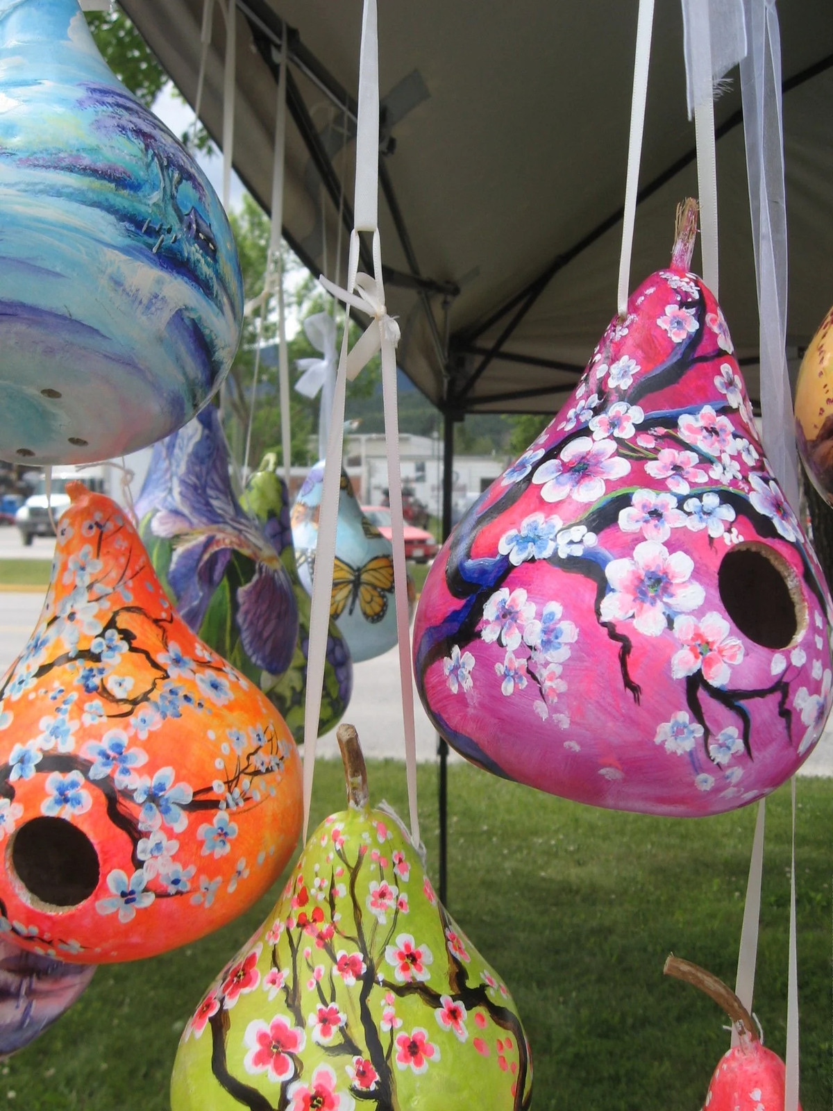 Birdhouse Gourd Seeds |USA Bird Bottle Calabash Chinese Asian Buddha Squash 2024