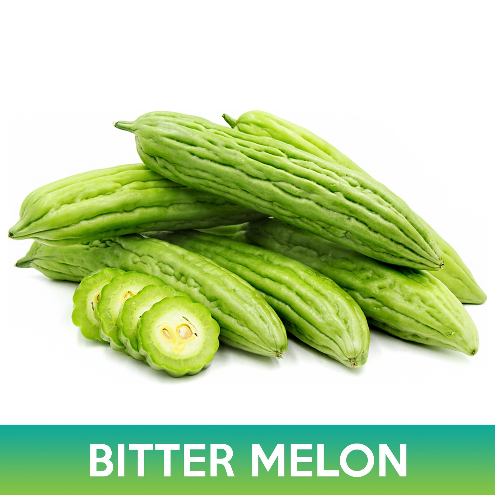 Bitter Melon Tai Guo Hybrid Seeds, Momordica charantia