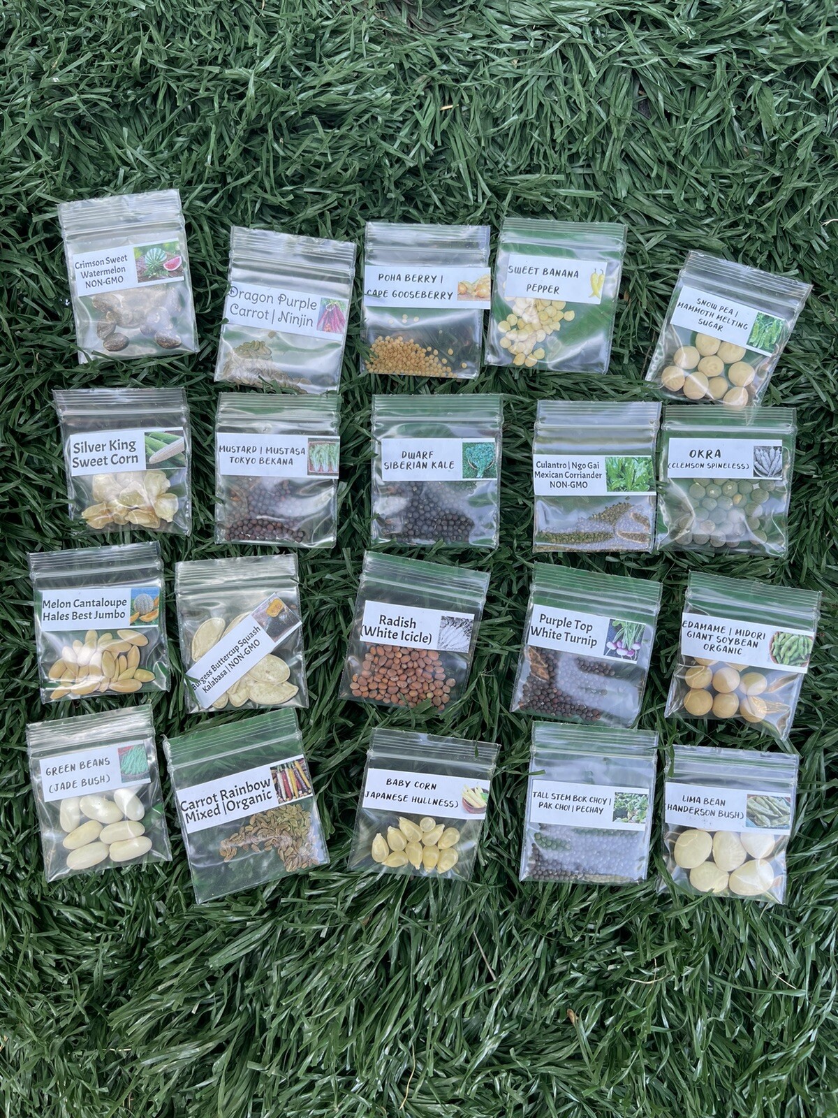 20 Packets of Vegetable Seeds Package Combo +2 Mystery Seeds
