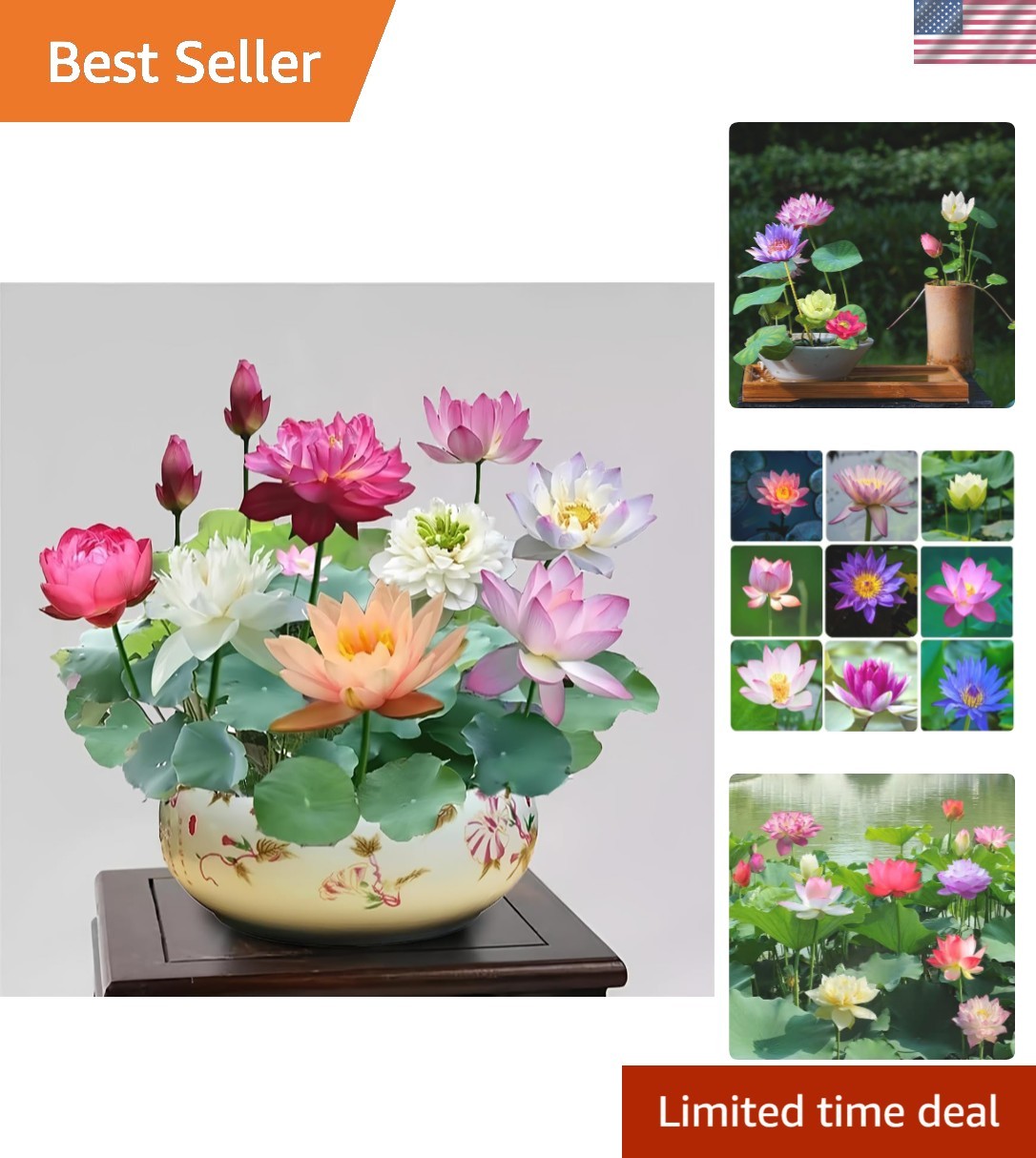 30 Organic Lotus Seeds – Easy Planting Water Lilies for Ponds, Patio & Gardens