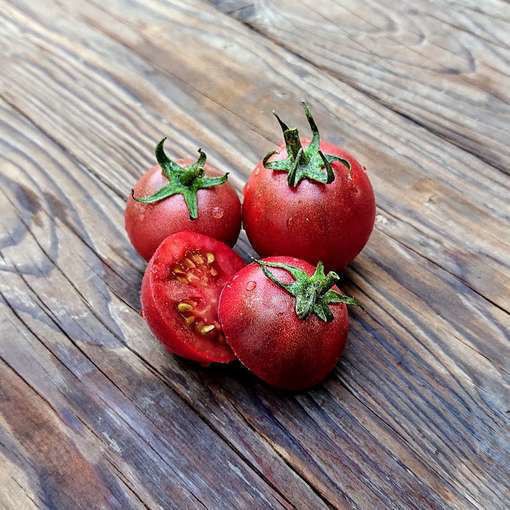 10 seeds Dwarf Mocha’s Cherry Tomato ORGANIC Rare Anthocyanin Variety