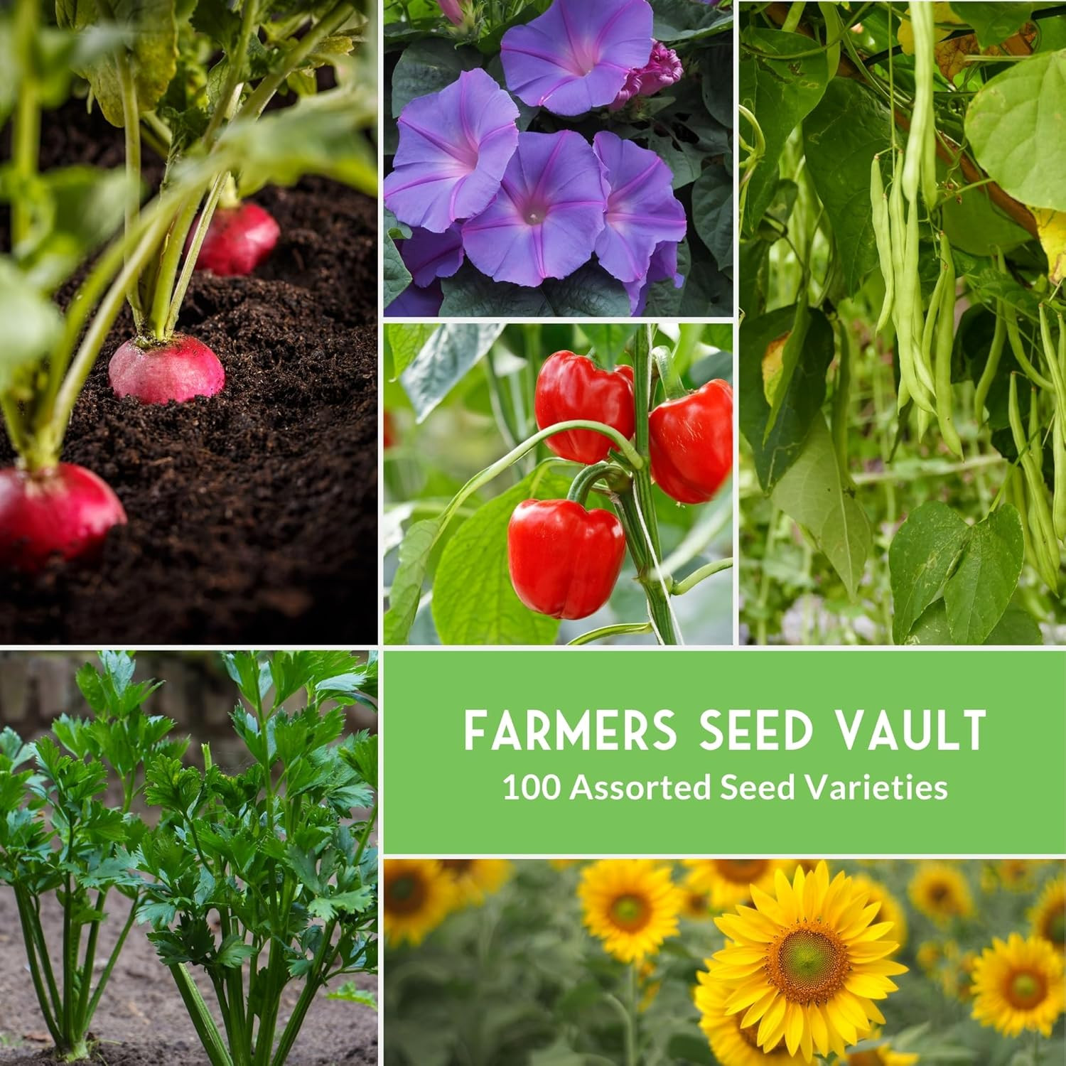 Survival Seed Vault Kit 100 Packs Heirloom Non-GMO Vegetable Seeds Emergency Sup