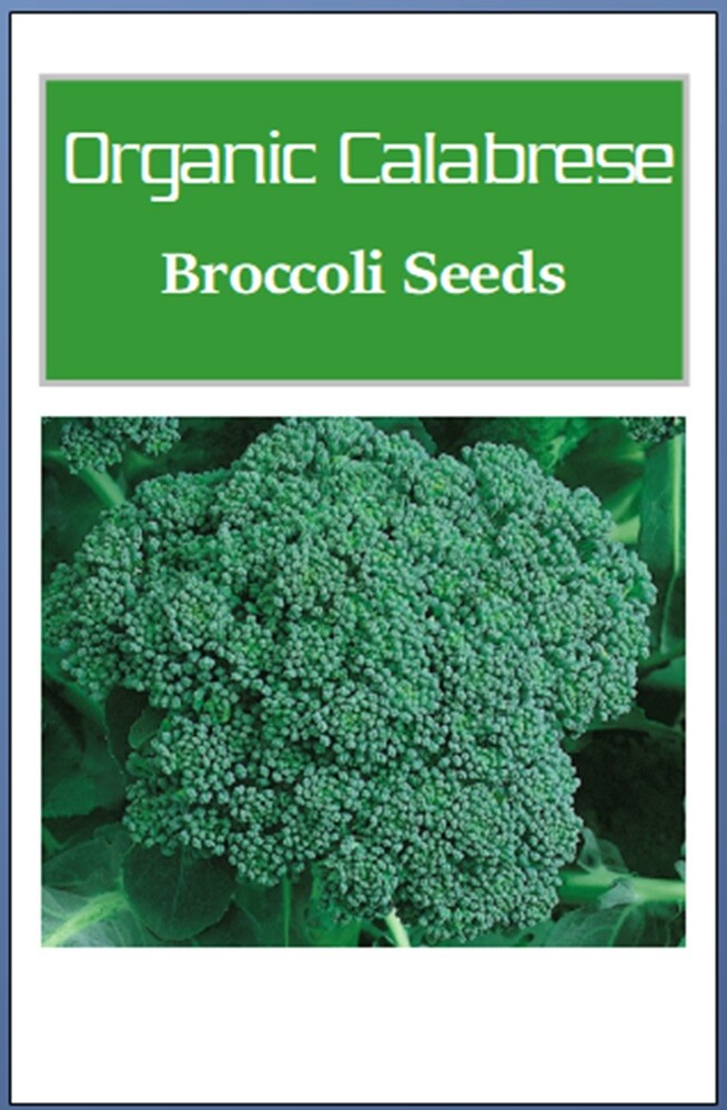 Organic Calabrese Green Sprouting Broccoli Seeds | NON-GMO | Fresh Garden Seeds