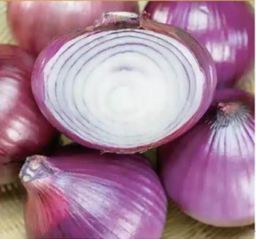 Ruby Sweet Red Onion Seeds Non-GMO Crisp Garden Favorite