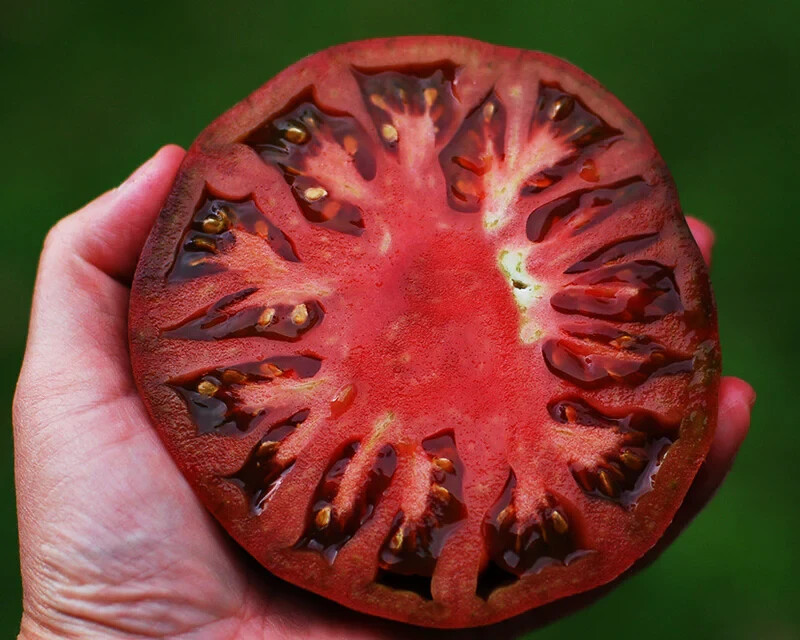 Cherokee Purple Tomato Seeds Heirloom Slicing Non Gmo Garden Plant