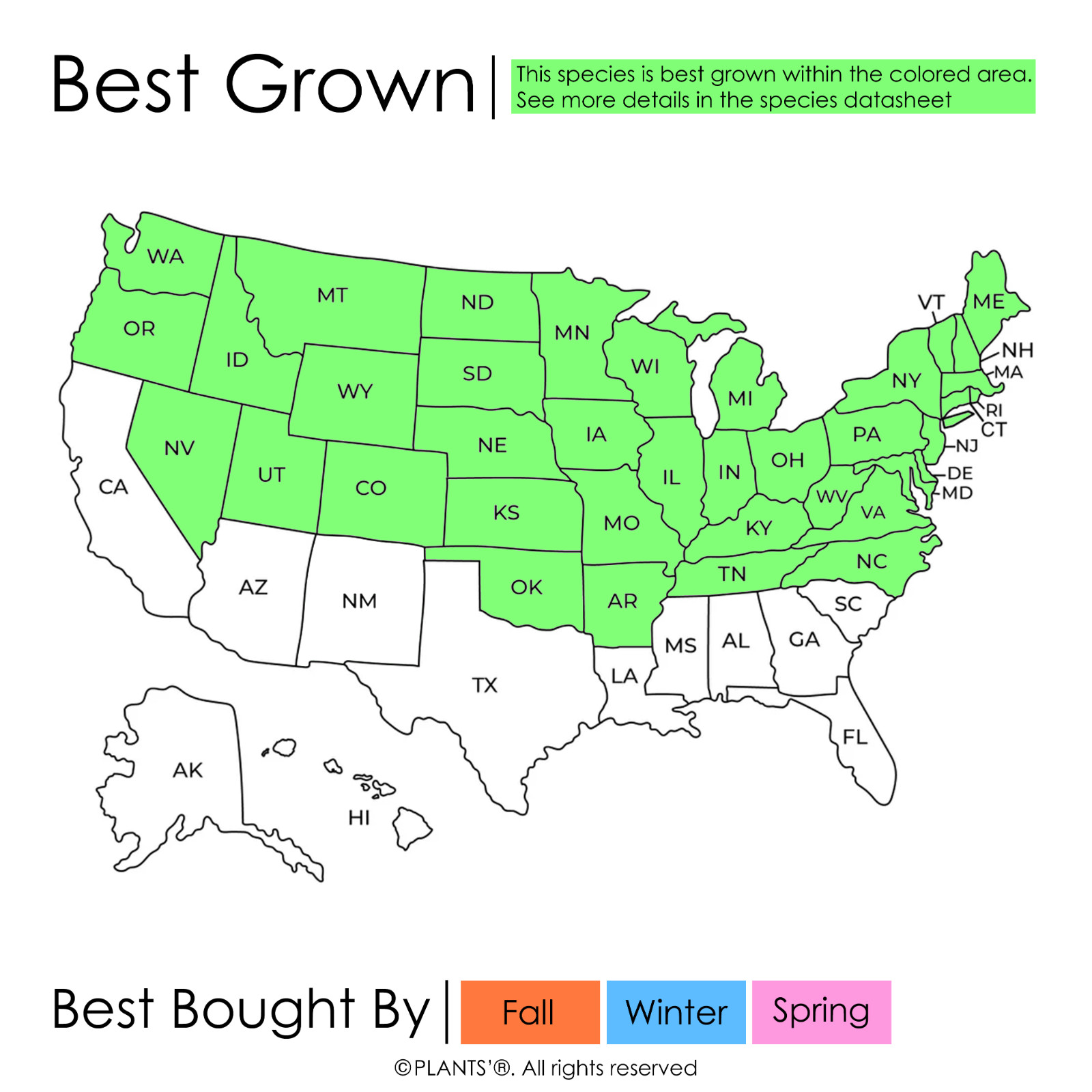 Sargent’s Crabapple Tree | Premium Seeds | Malus sargentii ‘Fall’ | Plants’®