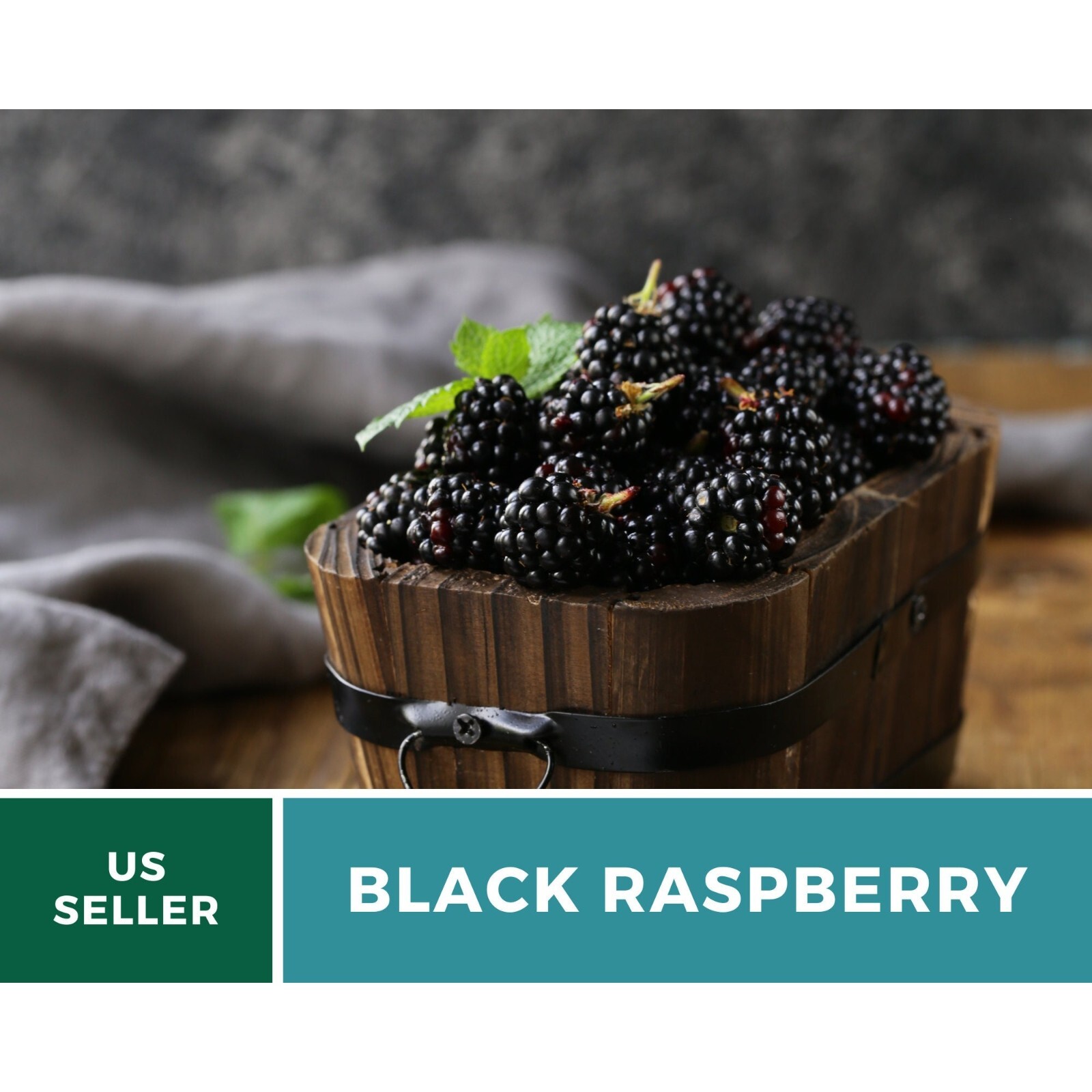 Raspberry, Black – Thimbleberry – Heirloom Seeds – Non GMO (Rubus occidentalis)