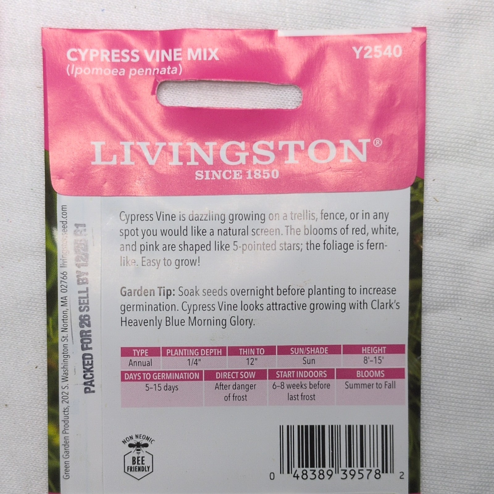 Livingston Cypress Vine Mix Annual Red White Pink Flower Seeds Full Sun Y2540