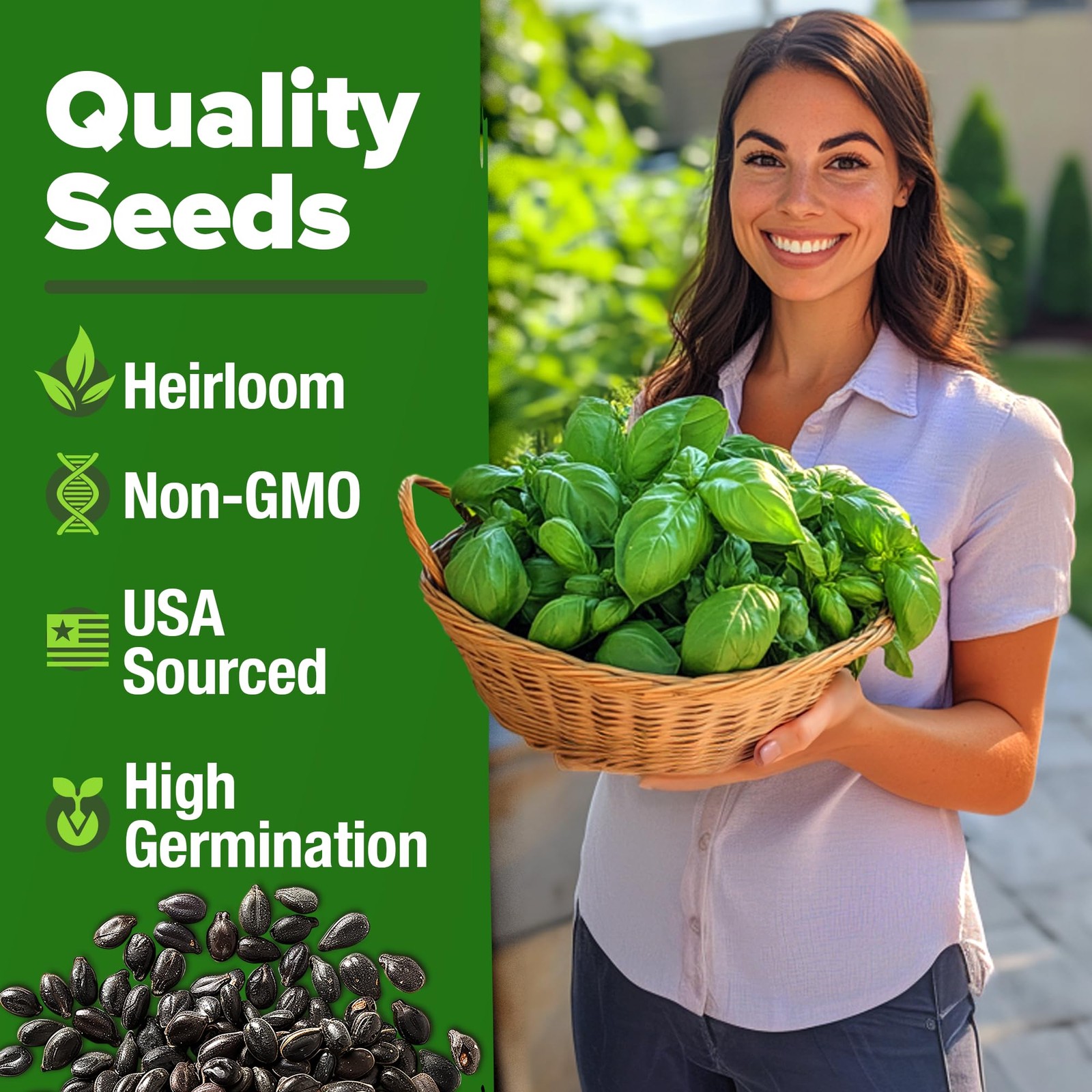 Genovese Basil Seeds 2 Pack 3500 Non GMO Heirloom Basil Seeds for Planting O…