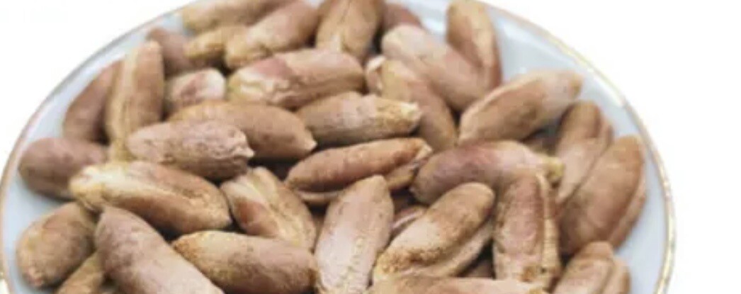 Dates Seeds Honey Sweet Dates. 100% Strong Sprout 20 seeds