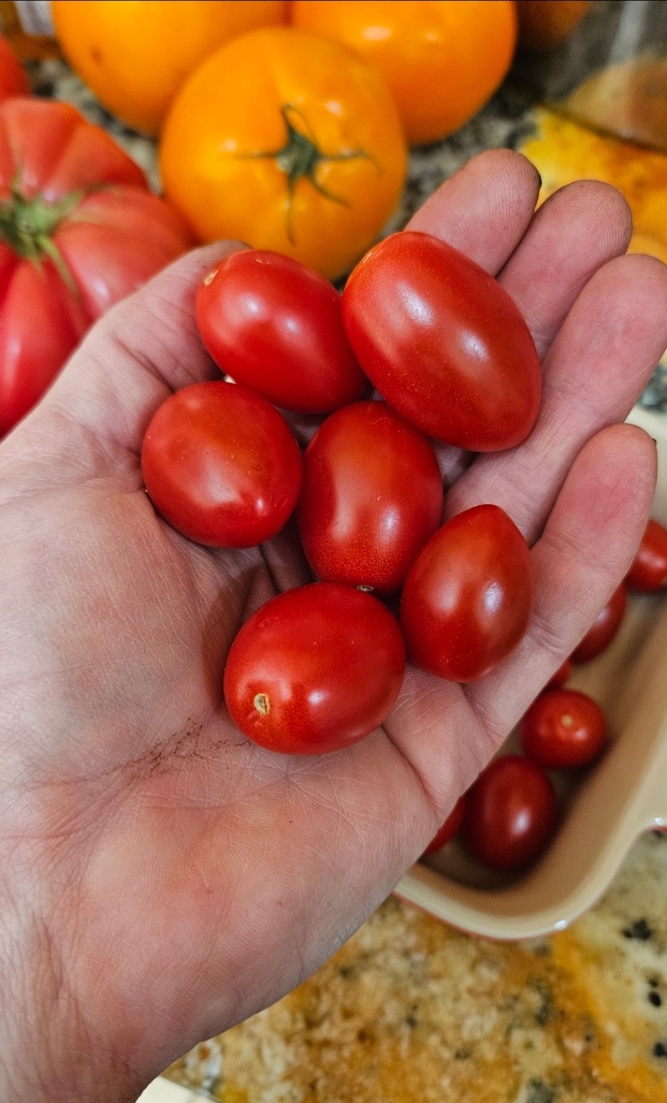 Angel Sweet Grape Tomato Seeds (30) / Jumbo / DELICIOUS / RARE