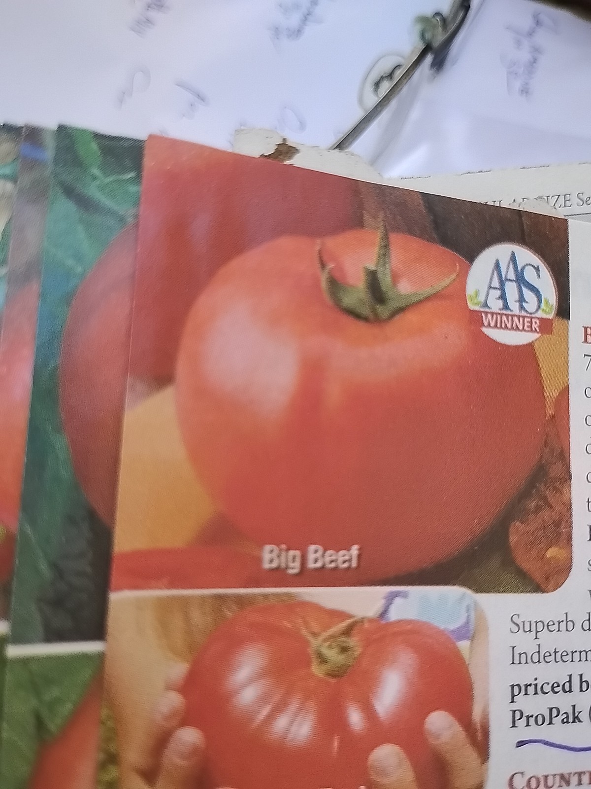 BIG BEEF BEST TOMATO EVER 20 SEEDS + FREE BONUS! AWARD WINNER ,& GREAT TASTE!