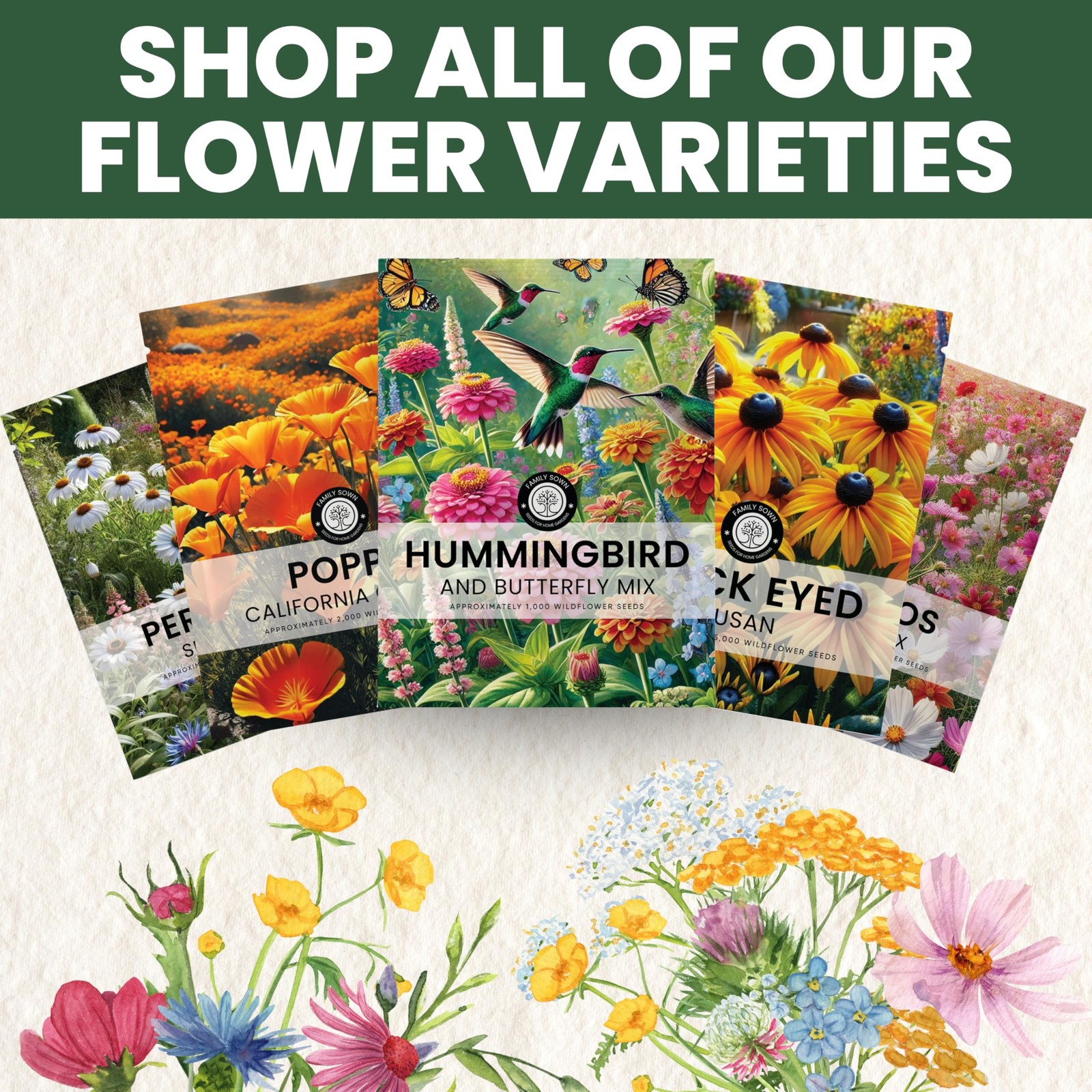 Perennial Species Mix Large 5g Envelope Wildflower Seeds Planting