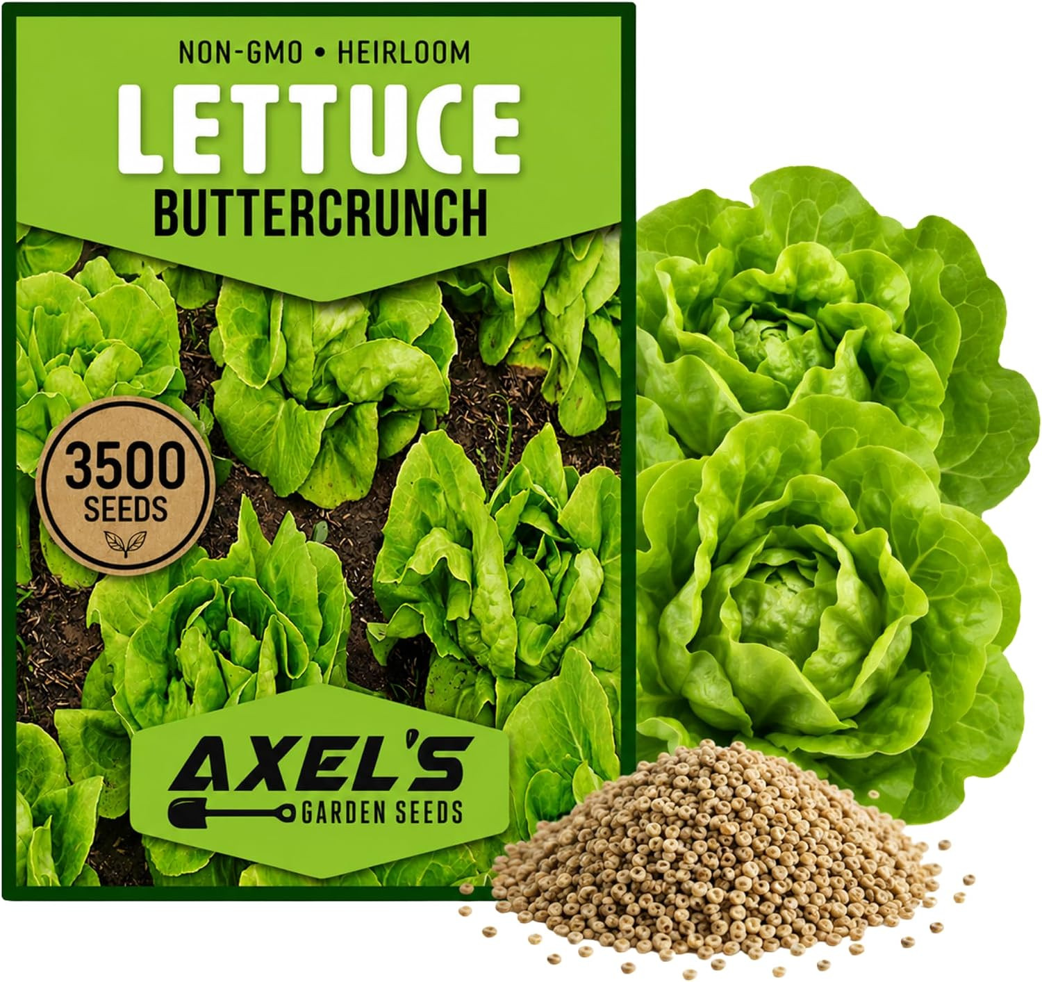3500+ Buttercrunch Lettuce Seeds for Planting -Heirloom Non-Gmo | Lactuca Sativa