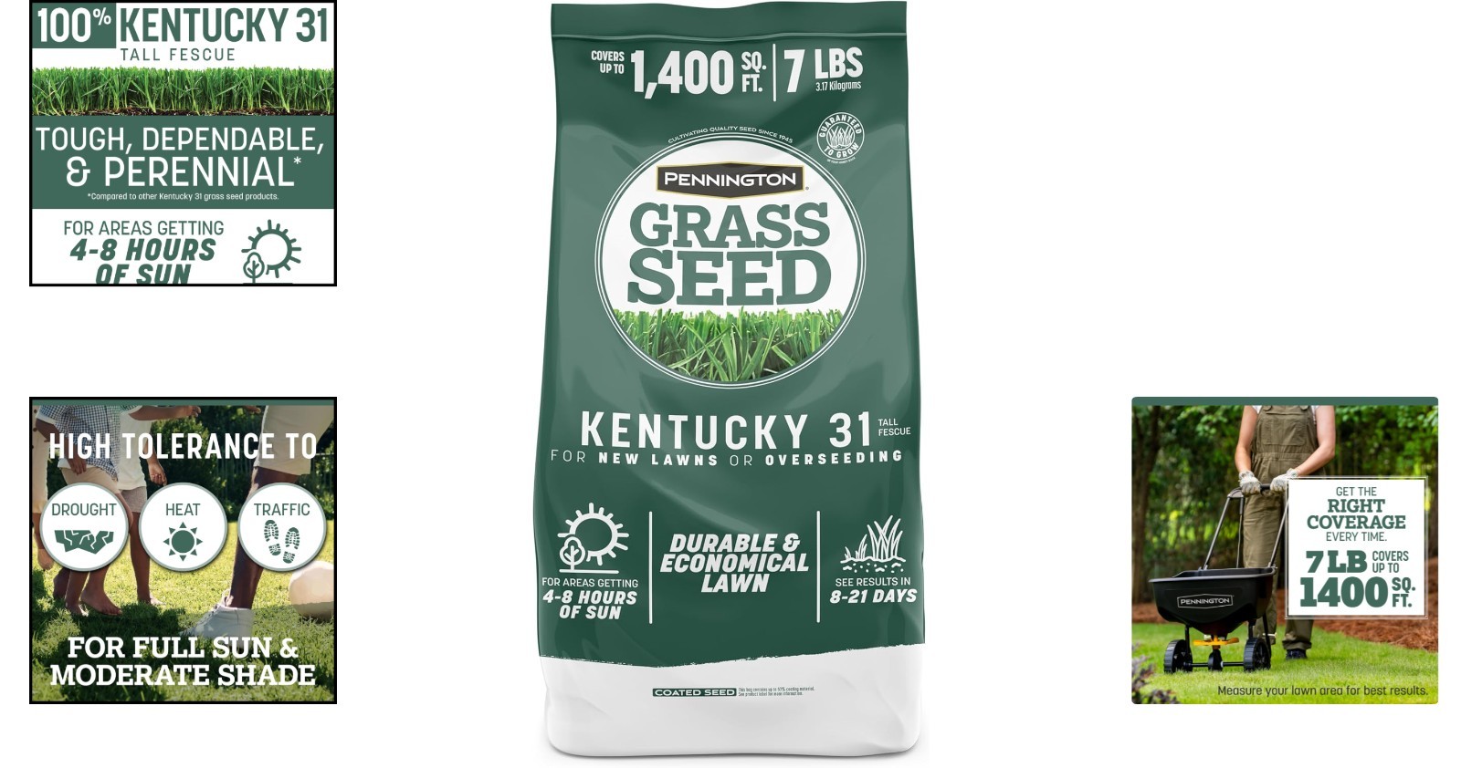 7 LB Tall Fescue Grass Seed – Kentucky 31 for Low-Maintenance Beautiful Lawns
