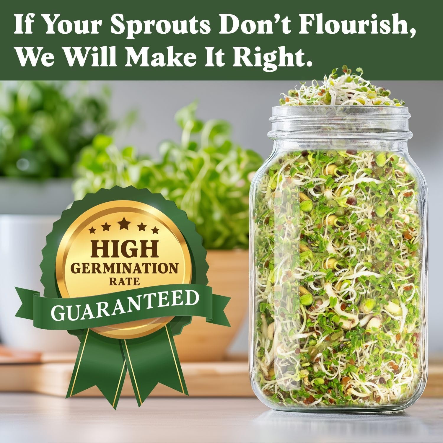Organic Non-GMO Sprouting Seeds, Fresh Salad Blend – USA Grown Microgreens Mi…
