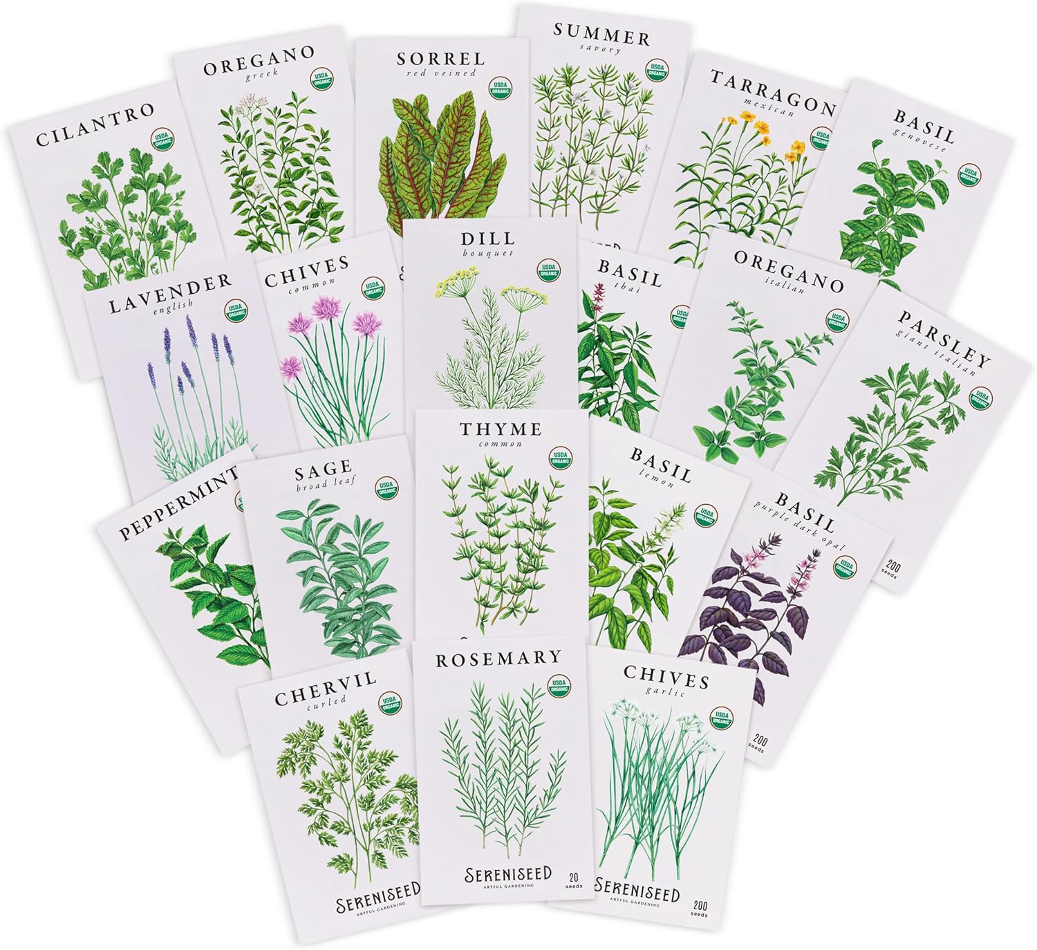 Certified Organic Herb Seeds (20-Pack) – Non GMO, Heirloom – Seed Starting Video