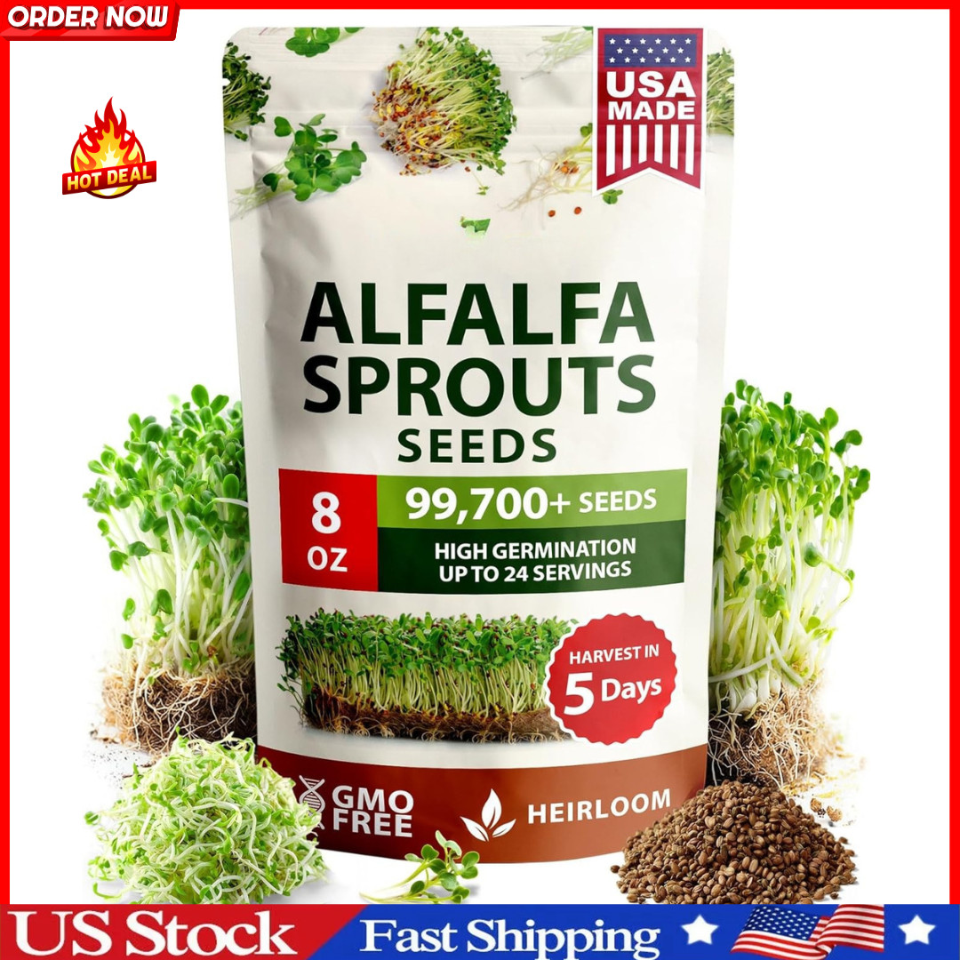 Alfalfa Sprouting & Microgreens Seeds – 99,700 Non-GMO Heirloom