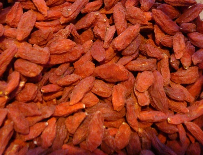 Goji Berry, Lycium chinense, Shrub Seeds