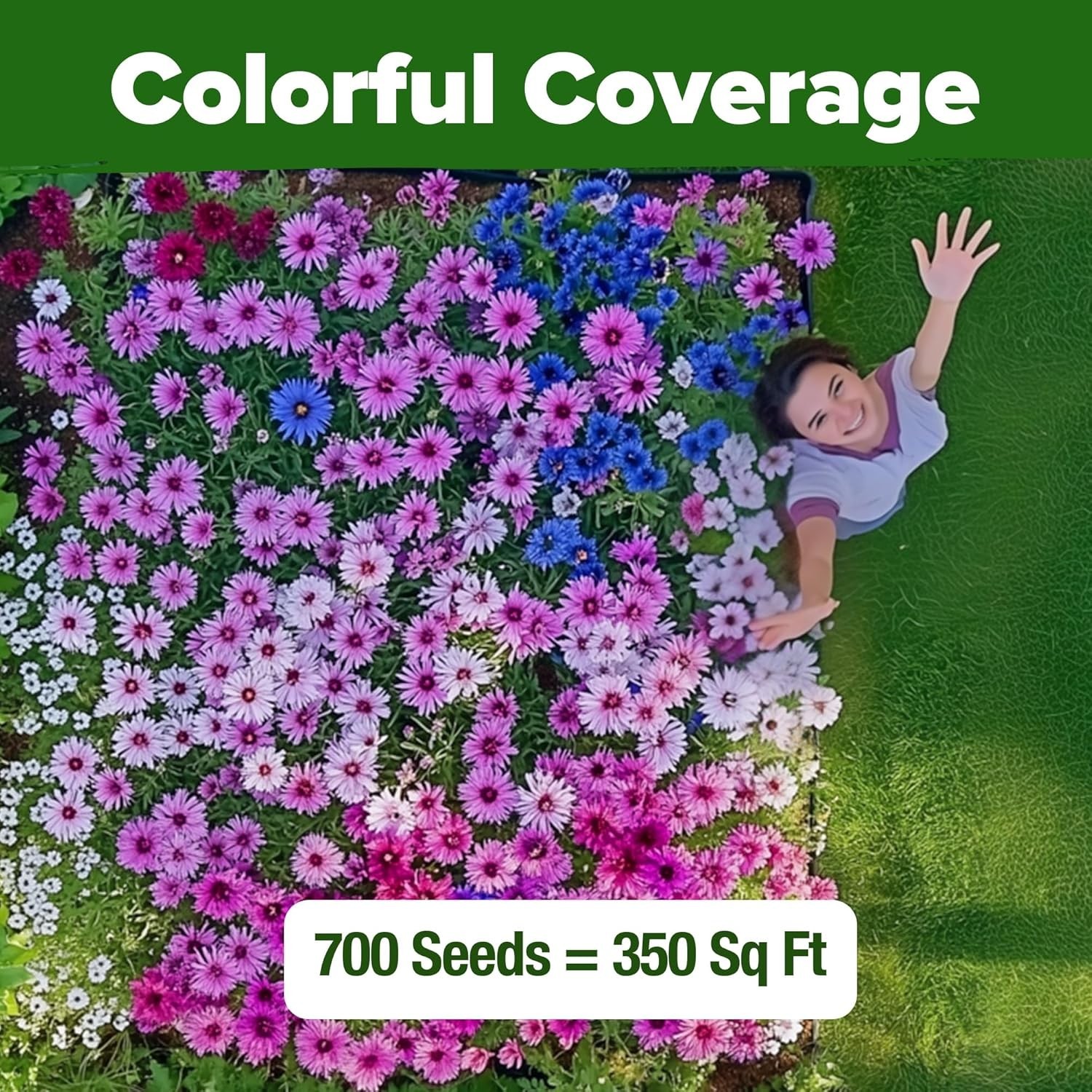 Vibrant Bachelor’s Button Flower Seeds – Heirloom Garden Mix for USDA Zones 2-11