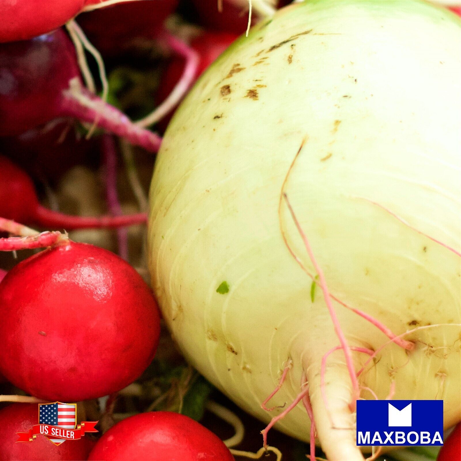 50 Watermelon Raphanus Sativus Radish Seeds Non-GMO Heirloom BTGO 75% OFF