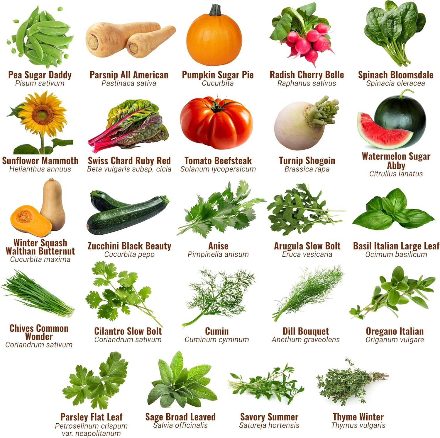 | 44 Heirloom Seed Types Variety Pack Bundle | 2026 Season | Non GMO Herbs, Vege