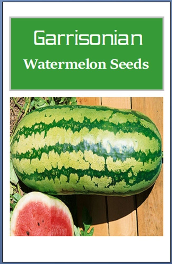 Garrisonian Watermelon Seeds | NON-GMO | Heirloom | Fresh Garden Seeds