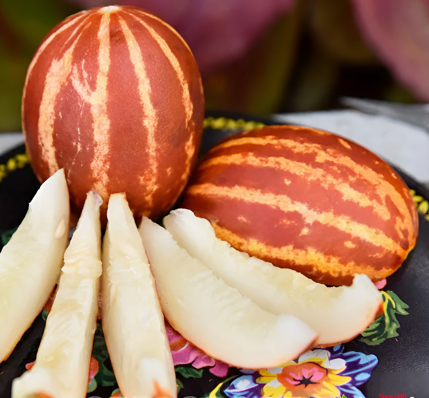 25 Heirloom Rich Sweetness Melon Seeds – Candy Sweet Personal Sized Exotic Melon