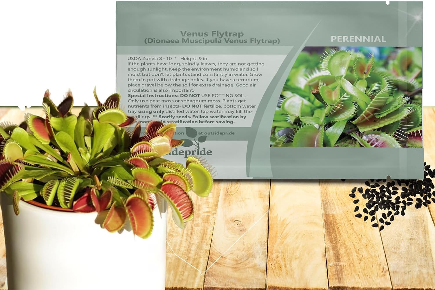 Outsidepride Venus Flytrap Seeds – 10 Pcs Perennial, Unique & Carnivorous