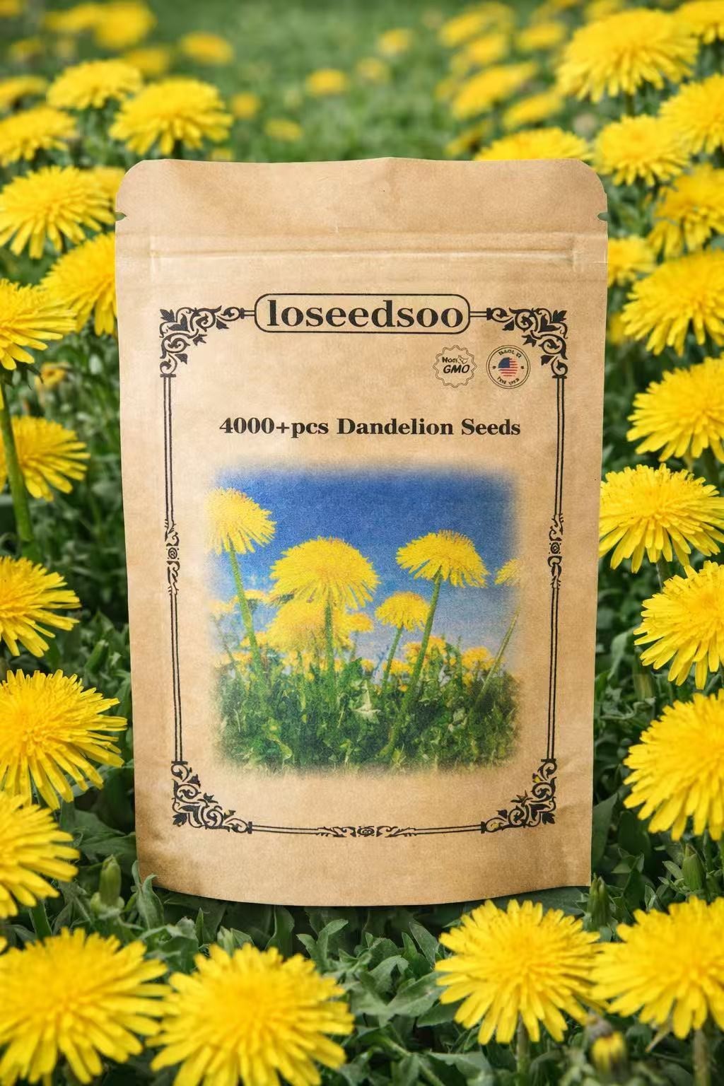 4000+ Dandelion Seeds for Planting – Heirloom Non-GMO Taraxacum Officinale Seeds