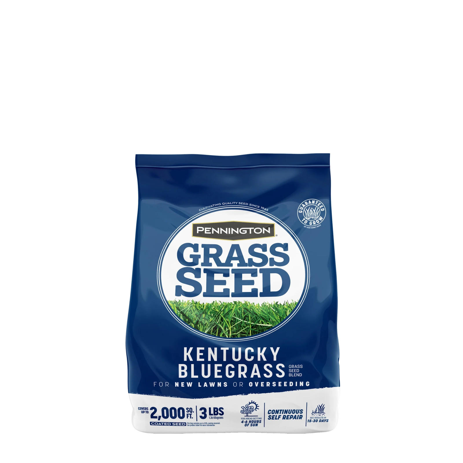Kentucky Bluegrass Northern Grass Seed Mix for Sun to Partial Shade, 3 Lb