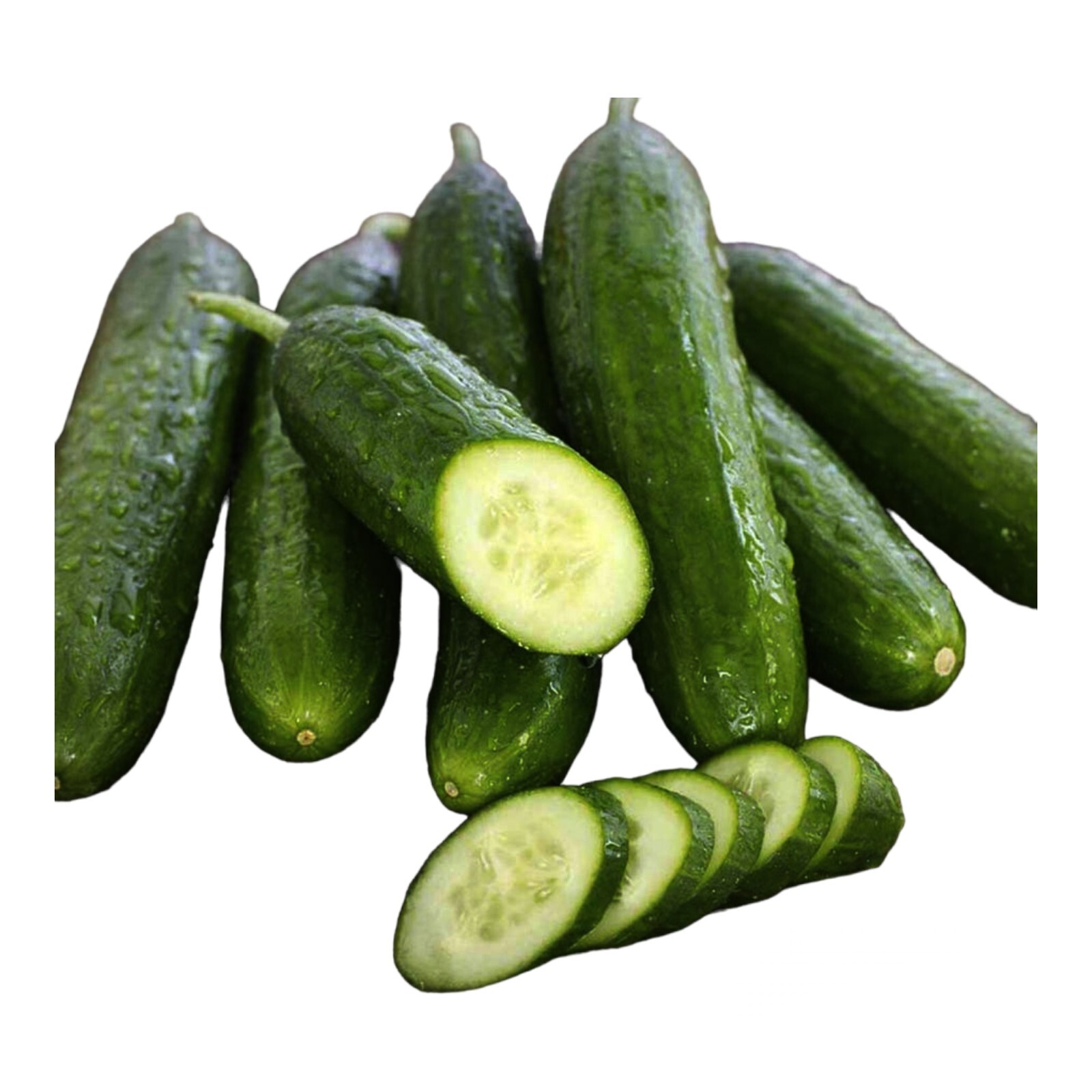 25 Beit Alpha CUCUMBER SEEDS | Early 55 days maturity | crisp and sweet