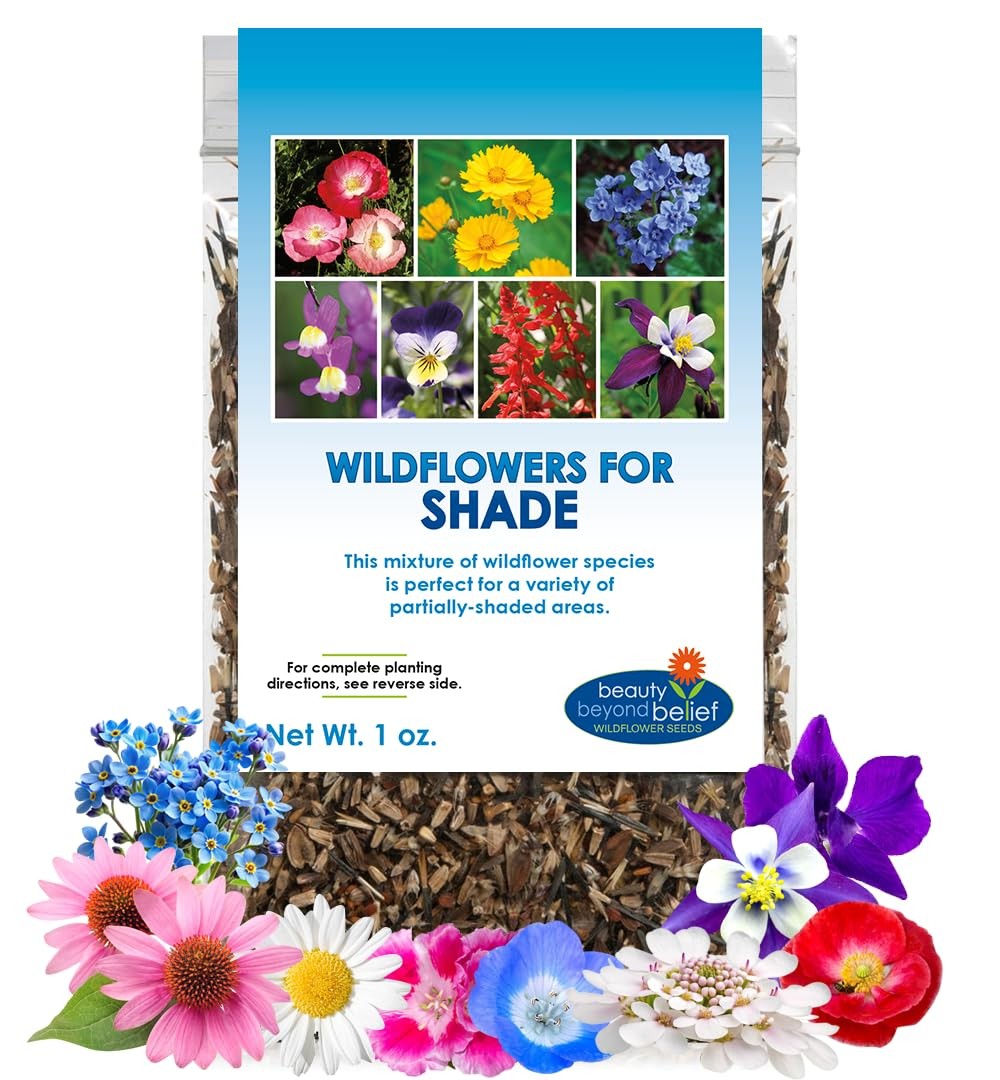 BBB Seed Partial Shade Wildflower Seeds 1 oz Packet, OpenPollinated Wildflow…