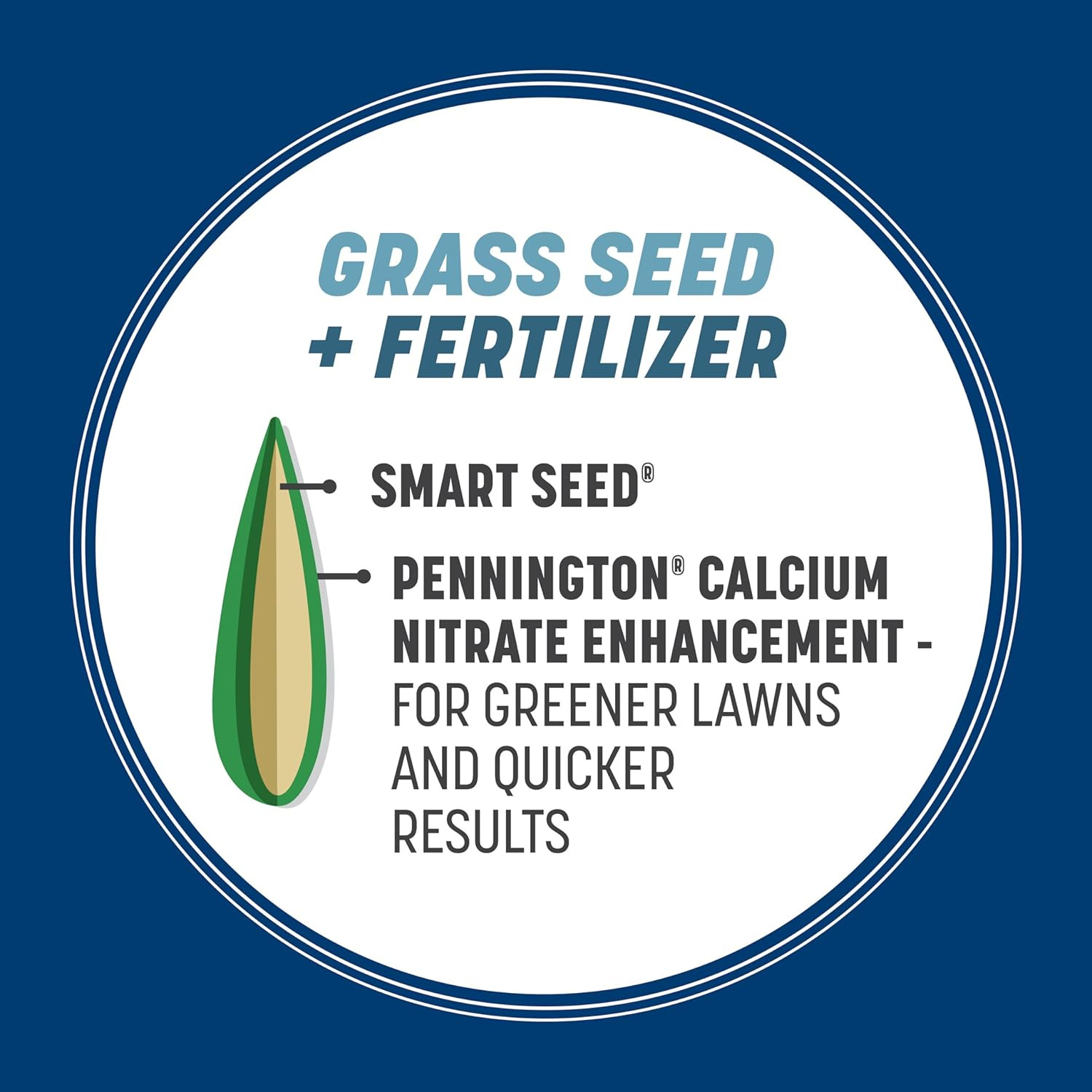 Smart Seed Kentucky Bluegrass Blend, 3 Lb, Kentucky Blue Grass Seeds for Lawn