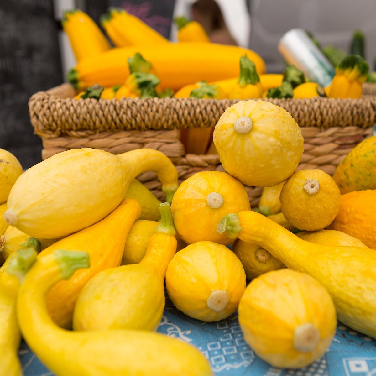 1/4 Lb Early Summer Crookneck Summer Squash Seeds – Everwilde Farms Mylar Packet