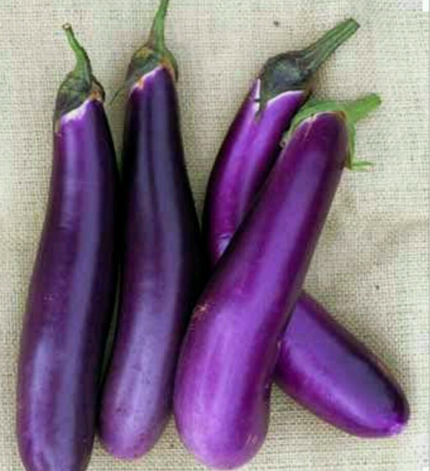 200 LONG PURPLE EGGPLANT Seeds-Non GMO-Open Pollinated.