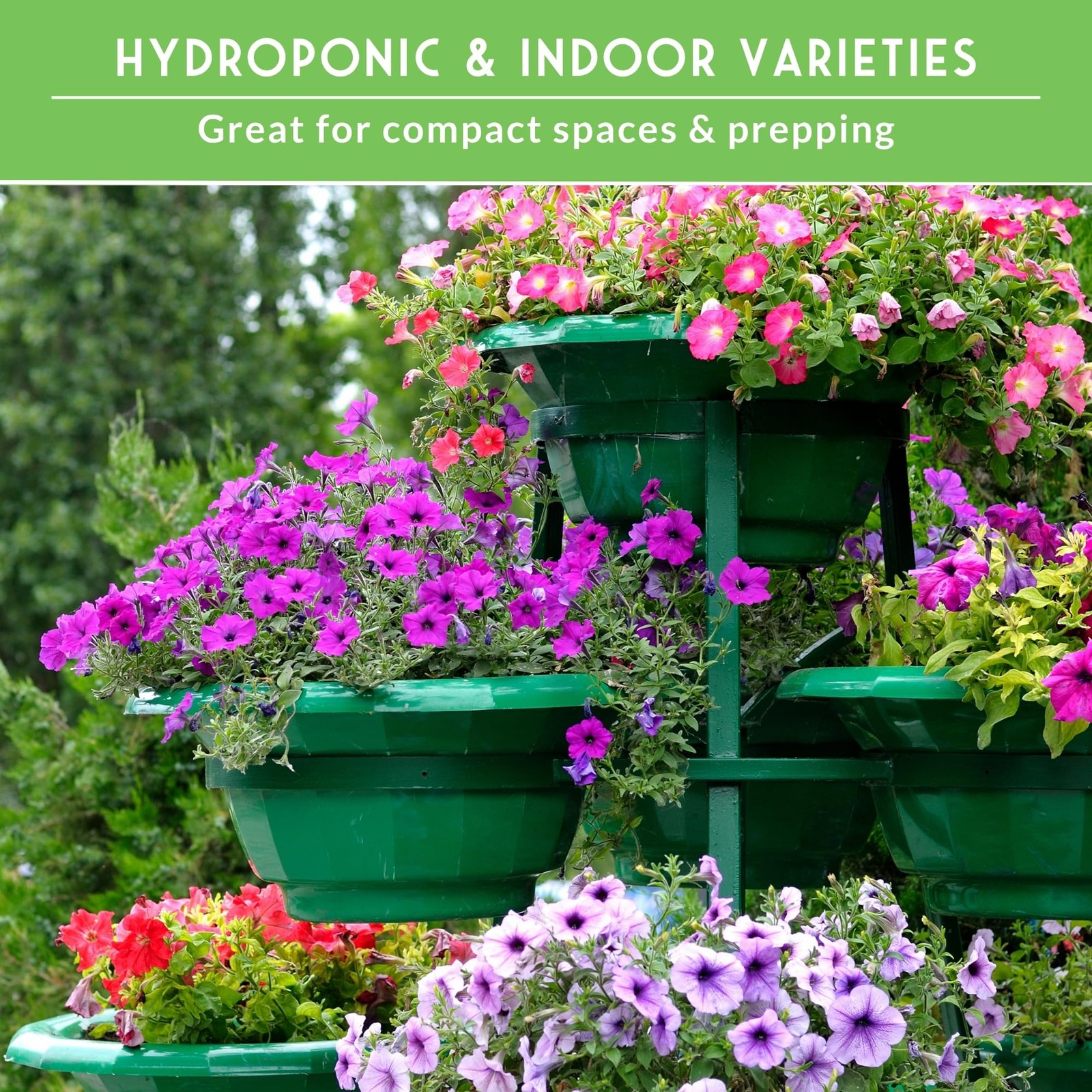 Hydroponic & Indoor Garden Kit – 20 Compact Heirloom Vegetable & Herb Varieti…