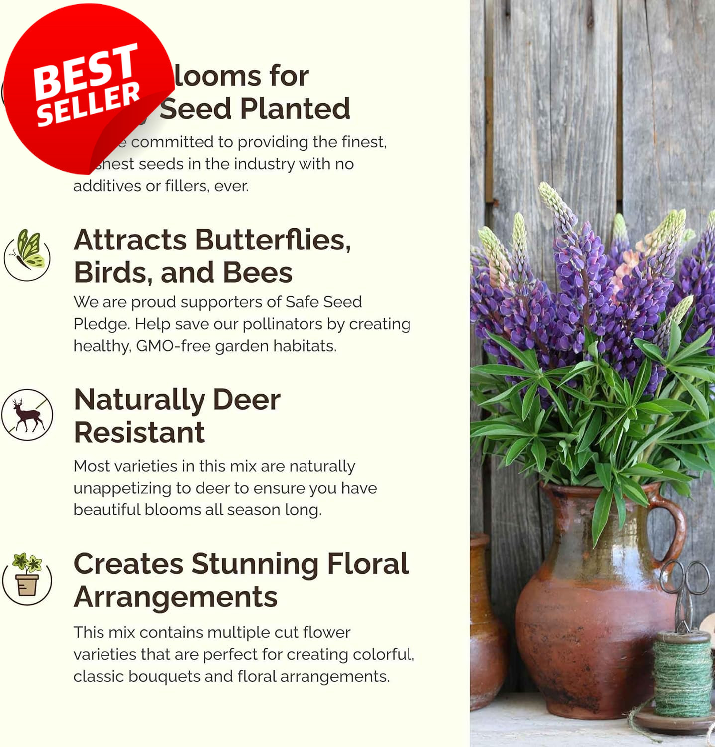 Midwest Perennial Wildflower Seeds Mix 1/4 lb 120K Pollinator Zones 3-10 – US
