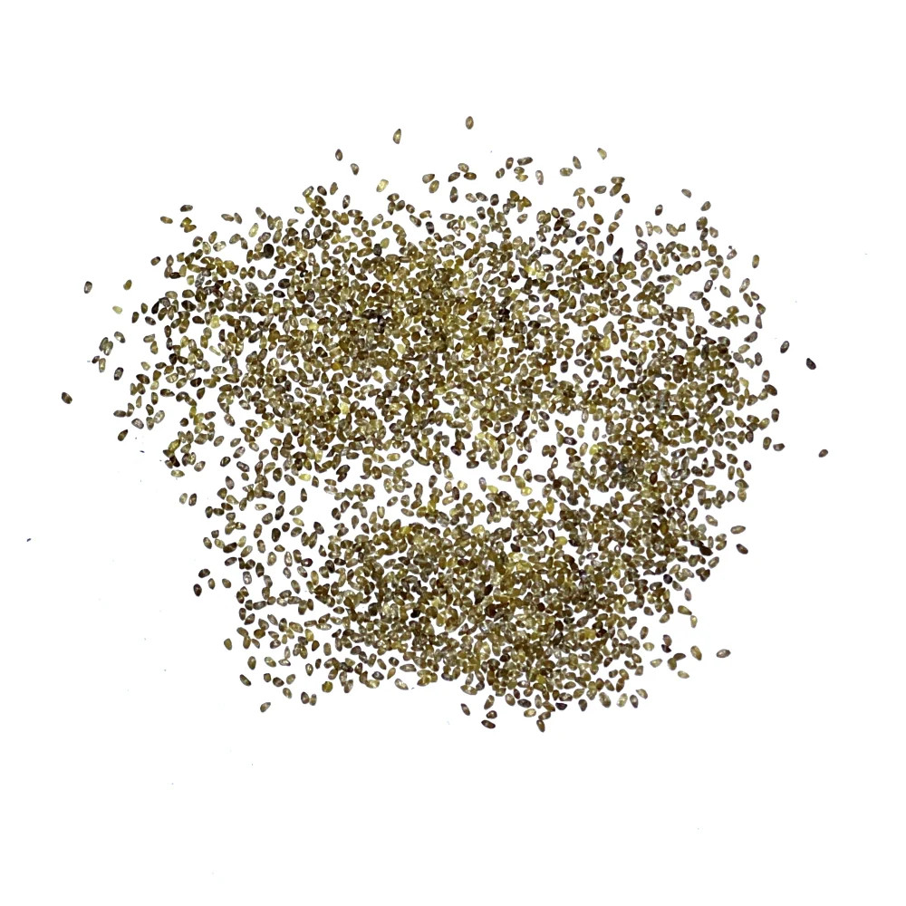 Bellflower Superba Seeds For Planting (Campanula glomerata)