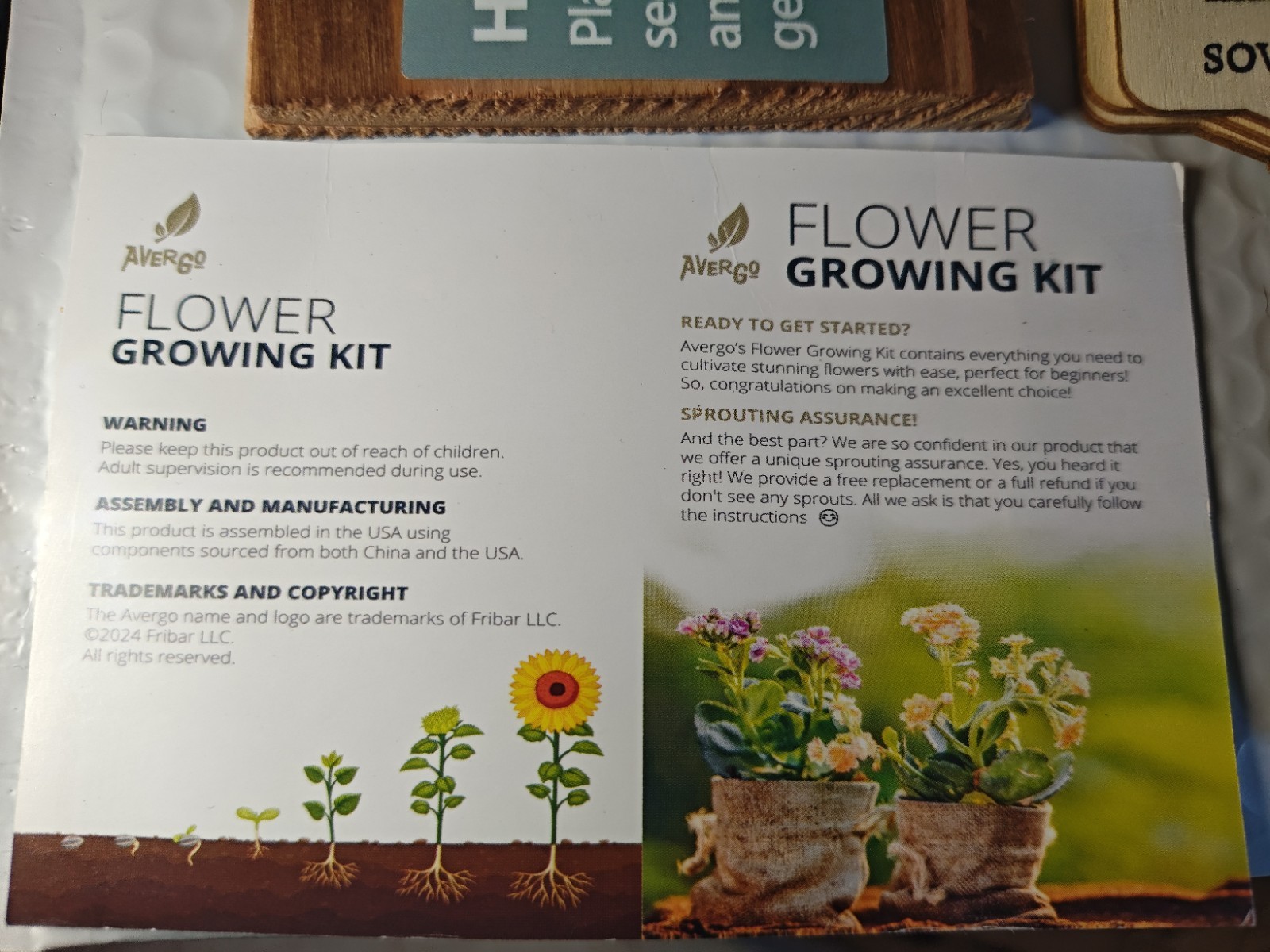 Avergo Zinnia Flower Seeds Garden Grow Kit Set w/ Wooden Box & Mini Tools