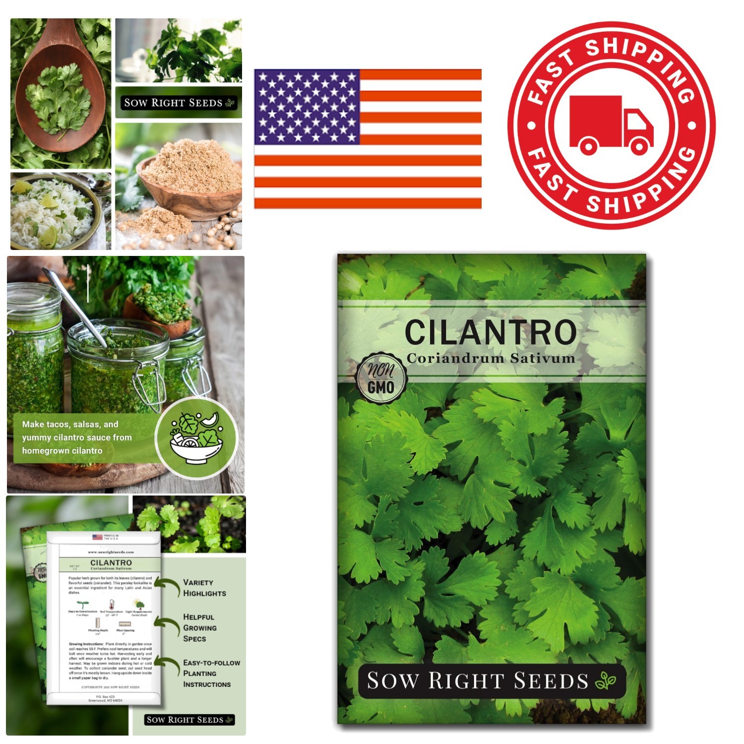 Heirloom Cilantro Seeds Non GMO Indoor Outdoor Planting Packet with Instructions